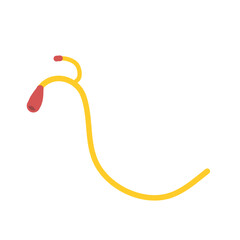 Urinary catheter vector