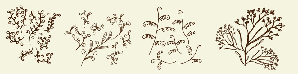 Obraz premium line plant,line plant shoots,line plant shoot design