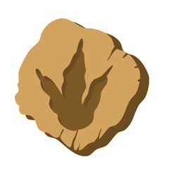 Ancient dinosaur footprints  fossil © Hashslingingslasher