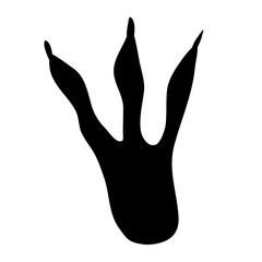 Ancient dinosaur footprints  fossil