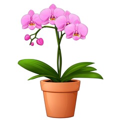 Obraz premium Beautiful Pink Orchid Flower in a Terracotta Pot with Green Leaves