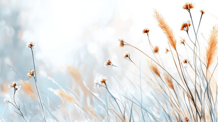 Delicate wildflowers and grasses covered in frost create serene, icy landscape with soft hues of pale blue and orange, evoking tranquil and dreamy atmosphere