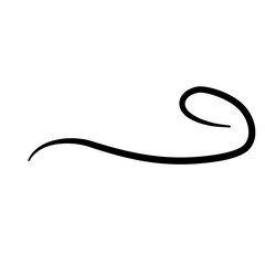 Curly swish tails and sporty plume swirl logo 
