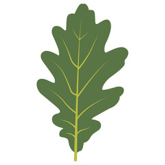 Exotic Green Tropical Leaves Illustration in Flat Design. Vector Element