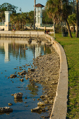 Vertical View north from Sunset Park in Saint Petersburg, Florida with a leading line of seawall with stones, grass and palm trees on right. Central Avenue Bridge on left. Late afternoon sun reflectio