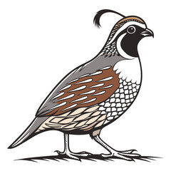 Quail