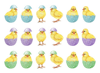 Easter mood cute yellow chicks with colored eggs in pastel colors collection on white background. Hand drawn illustration. Perfect for Easter decor designs, spring decor and rustic-themed art