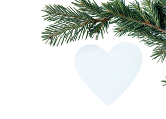 White heart with spruce branches on a blue background, flat lay. Minimal concept. White paper in the shape of a heart and a pine tree branch on a blue background 