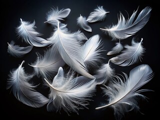 Obraz premium Surreal White Feathers Floating on Black: Ethereal Stock Photo