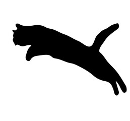 Cat High Jump Silhouette