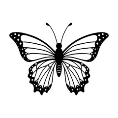 Butterfly Silhouette