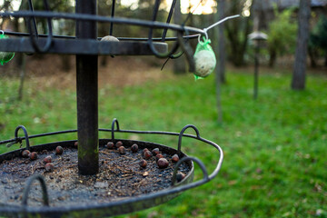 A bird feeder in a forest style