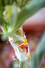 Fototapete bei efototapeten.de bestellen   