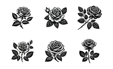 Rose flower silhouette. engrave black icon on white background