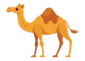 Camel flat illustration on white background

