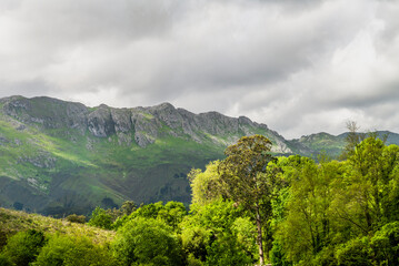 Obraz premium The beautiful city of Ribadesella, Asturias, Spain. Cantabrian Sea