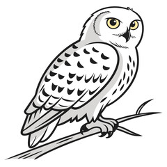 Snowy Owl