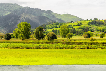 Obraz premium The beautiful city of Ribadesella, Asturias, Spain. Cantabrian Sea