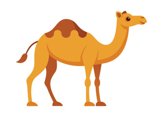 Camel flat illustration on white background

