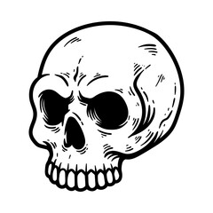 scary angry detailed skull isolated drawing line art style sketch classic vintage design illustration