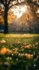 Obraz premium Close up of dew drops on grass with golden leaves in the background