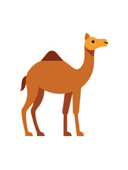 Camel flat illustration on white background

