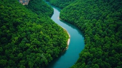 Fototapeta premium Serene Aerial View of Meandering River through Lush Green Forest