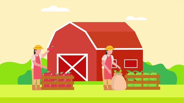 Animated video Local organic production concept. Full length animation illustration. High quality 4k footage.