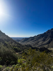 Desert Canyon with Cacti and Rolling Hills