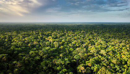 Naklejka premium Aerial view of a dense, lush forest with a vibrant green canopy under a cloudy sky, showcasing the natural beauty of the wilderness.