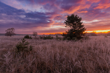 Wschód. Łąki. Tomaszów Maz. © R.Jaszczynski