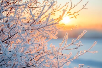 A closeup shot of frostcovered branches silhouetted against a warm sunrise. The delicate ice crystals glisten in the golden light, creating a serene winter scene.