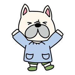 バンザイをしているスモックを着たフレンチブルドッグ