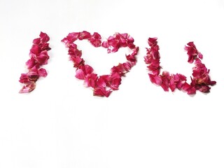 Caption words of love from pink rose petals. Winter wedding and Valentine's day concept