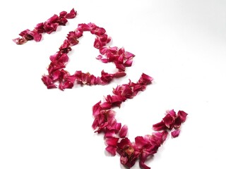 Caption words of love from pink rose petals. Winter wedding and Valentine's day concept