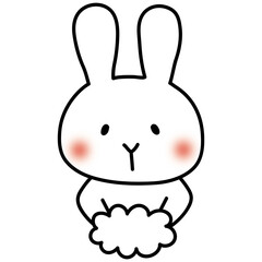 手を洗う白いうさぎ