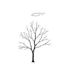 A simple outline of a tree with a small cloud above it, drawn in black on a white background.