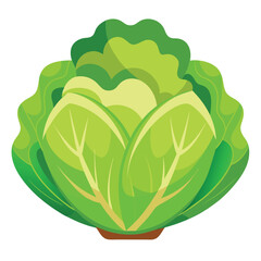 Fresh Lettuce Food Vector Illustration - Green Vegetable Design for Healthy Eating

