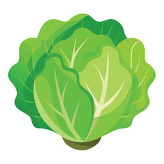 Fresh Lettuce Food Vector Illustration - Green Vegetable Design for Healthy Eating
