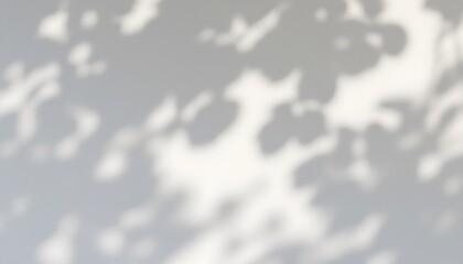 Abstract Grey Leaf Shadows on White Wall