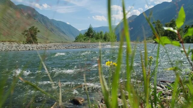 Beautiful mountain river valley in sunlight. Rapid water stream with green grass shores and blue sky on the background. Stunning summer nature landscape.