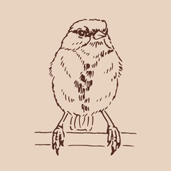 Titmouse. Hand drawn vector illustration.