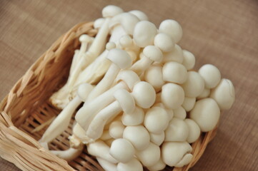 white shimeji mushrooms