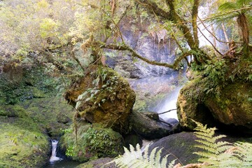 Waipohatu Falls - Breathtaking Waterfall in New Zealand's Wilderness
