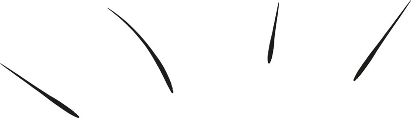 Burst Ornament Line Illustration svg