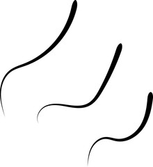 Burst Ornament Line Illustration svg