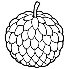Custard Apple Outline Illustration Vector