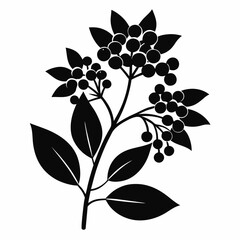 Elderberry Shadow Vector Design