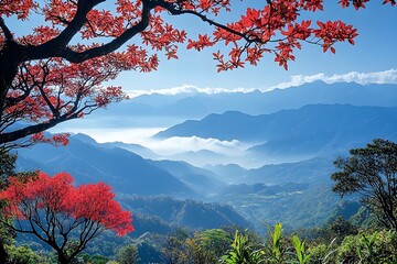Beautiful nature landscape with foggy wooded mountain ranges seen from the mountains with maple leaf trees, green plants and red wildflowers on a cloudy day