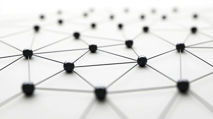 A network of interconnected nodes represented by black spheres and lines on a light background.